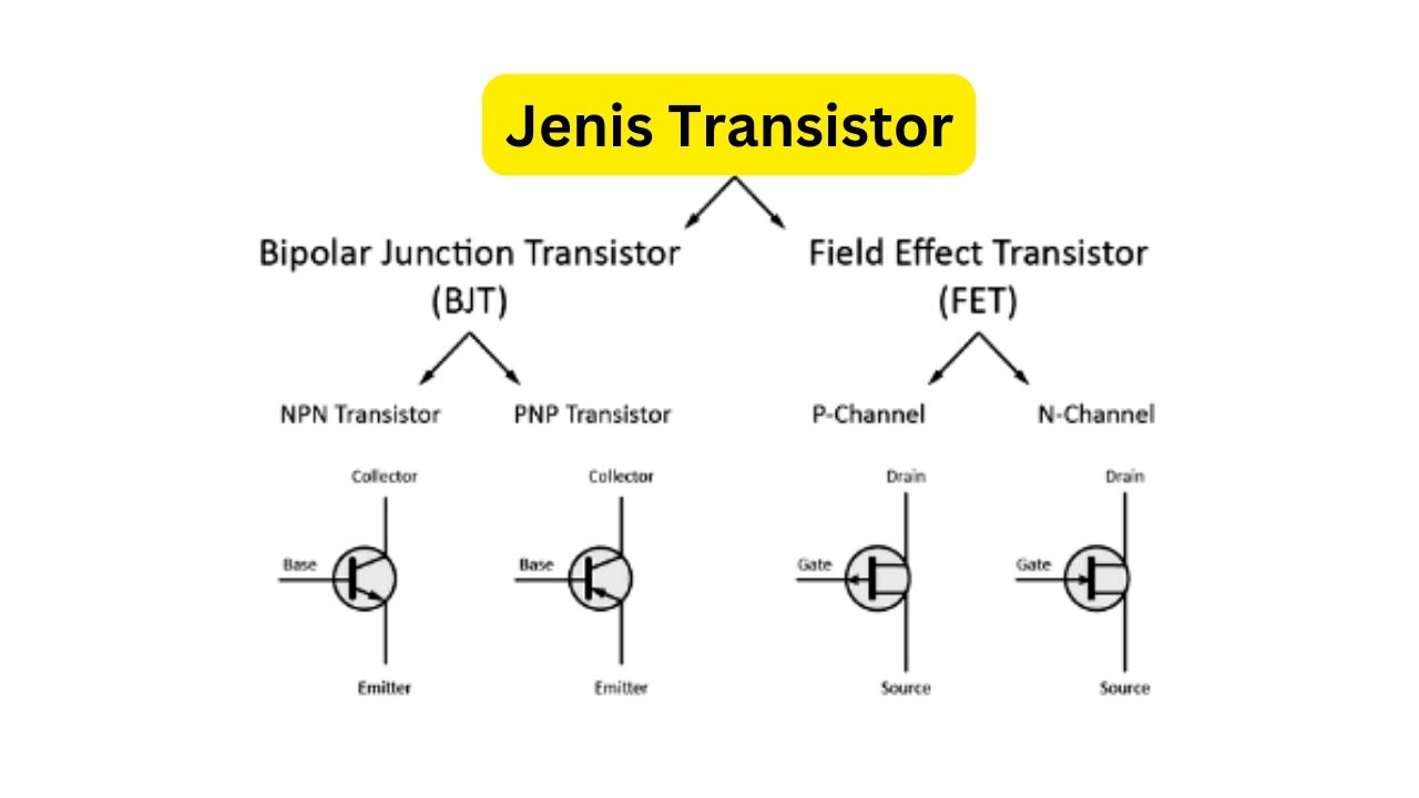 Jenis-Jenis Transistor