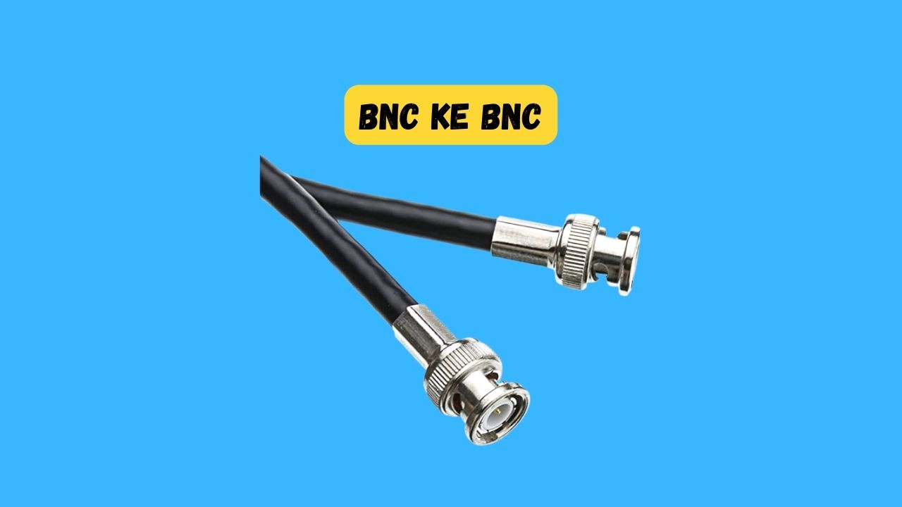 BNC ke BNC