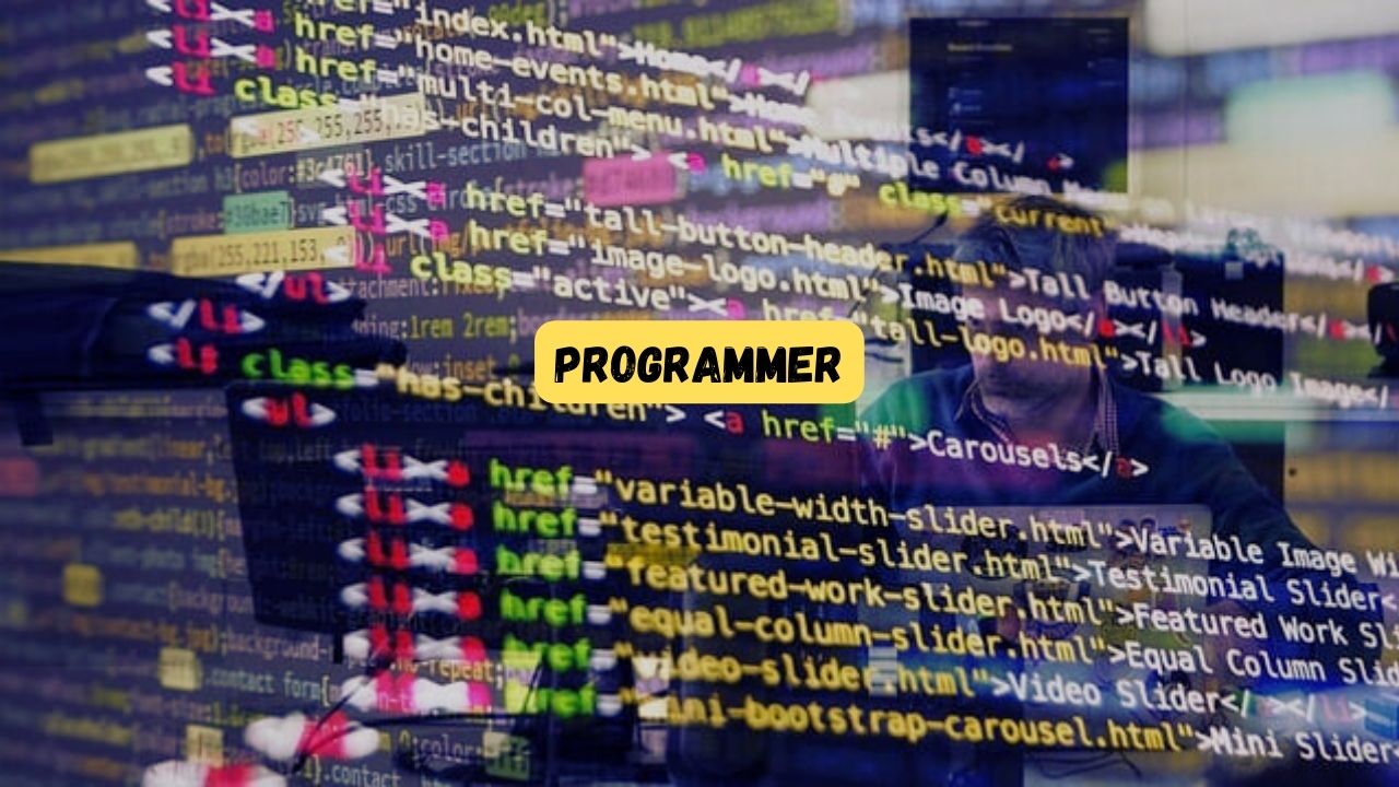 programmer adalah